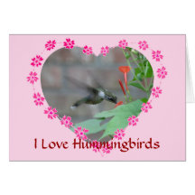 Tarjeta de los colibríes del amor