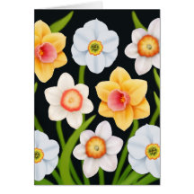 Tarjeta de los narcisos de la primavera