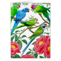 Tarjeta de los Parakeets y de los Peonies