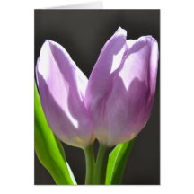 Tarjeta de los tulipanes de la lavanda