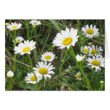 Tarjeta de los Wildflowers