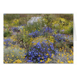 Tarjeta de los wildflowers de la primavera