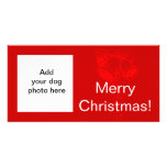 Tarjeta de Navidad blanca roja de Belces de la fot Tarjetas Con Fotos Personalizadas