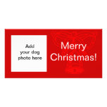 Tarjeta de Navidad blanca roja de Bell de la foto  Tarjetas Fotográficas