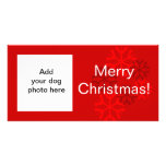 Tarjeta de Navidad blanca roja del copo de nieve d Tarjeta Fotográfica