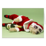 Tarjeta de Navidad borracha del perro