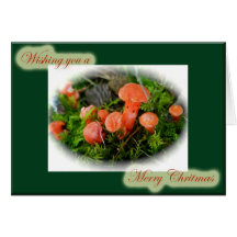 Tarjeta de Navidad brillante de las setas