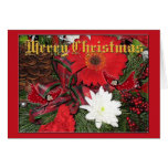 Tarjeta de Navidad de Butterfairy