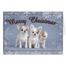 Tarjeta de Navidad de la chihuahua
