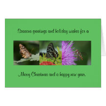 Tarjeta de Navidad de la mariposa