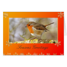 Tarjeta de Navidad de la plantilla del petirrojo