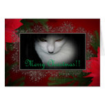 ¡Tarjeta de Navidad de los amantes del gatito!