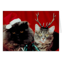 Tarjeta de Navidad de Meowy tarjetas