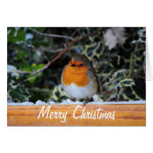 Tarjeta de Navidad de Redbreast del petirrojo