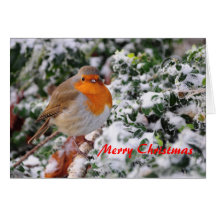 Tarjeta de Navidad de Redbreast del petirrojo