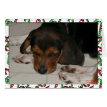 Tarjeta de Navidad del beagle (soñolienta)