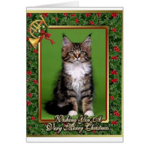 Tarjeta de Navidad del espacio en blanco del gatit