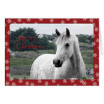 Tarjeta de Navidad del potro de Connemara