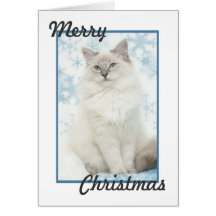tarjeta de Navidad del ragdoll