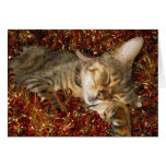 Tarjeta de Navidad - gato de Bengala