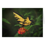 Tarjeta de nota amarilla de la mariposa de Swallow
