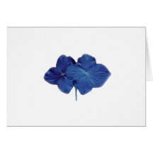 Tarjeta de nota azul del hydrangea