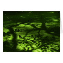Tarjeta de nota Dappled de la charca de la maripos