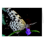 Tarjeta de nota de la mariposa
