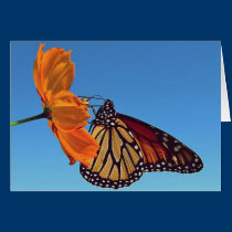 tarjeta de nota de la mariposa tarjetas