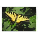 Tarjeta de nota de la mariposa de Swallowtail