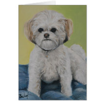 Tarjeta de nota del arte de Bailey Bichon/shihtzu