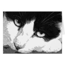 Tarjeta de nota del arte del gato