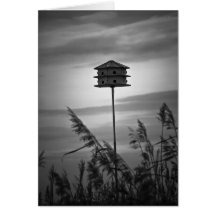 Tarjeta de nota del Birdhouse