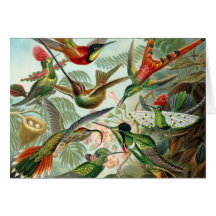 Tarjeta de nota del colibrí