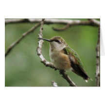 Tarjeta de nota del colibrí