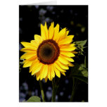 Tarjeta de nota del girasol
