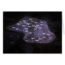 Tarjeta de nota del hielo de la charca