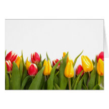 Tarjeta de nota del jardín del tulipán de la prima