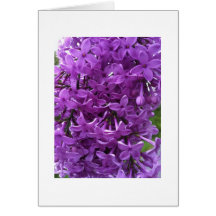 Tarjeta de nota en blanco coloreada lavanda de las