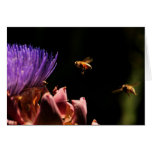 Tarjeta de nota o invitación - alcachofa de Pollen