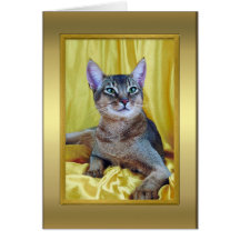 Tarjeta de nota pedigrí del gato