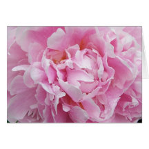 Tarjeta de nota rosada bonita del Peony