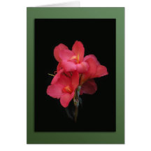 Tarjeta de nota rosada del flor de Canna