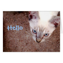 Tarjeta de nota siamesa del gatito "hola "