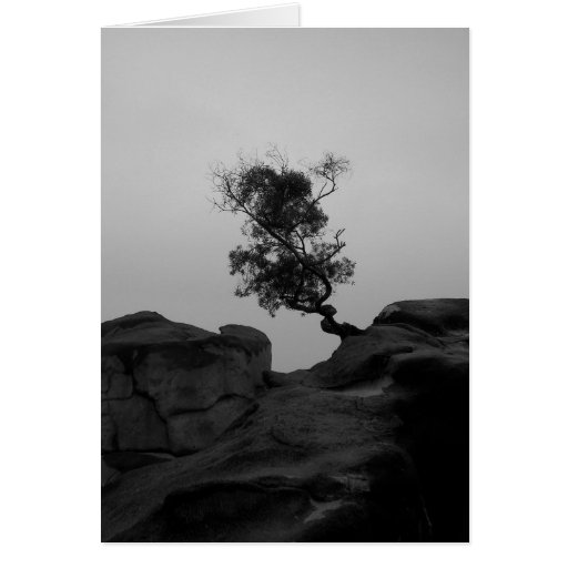 Tarjeta de nota solitaria del árbol