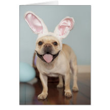 ¡Tarjeta de pascua del dogo francés!