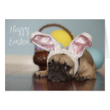 ¡Tarjeta de pascua del dogo francés!