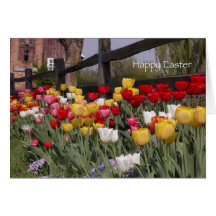 Tarjeta de pascua del jardín del tulipán
