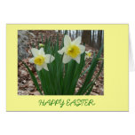 Tarjeta de pascua del narciso