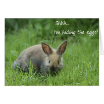 Tarjeta de pascua divertida tarjetas